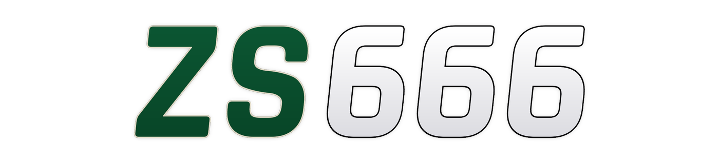 zs666
